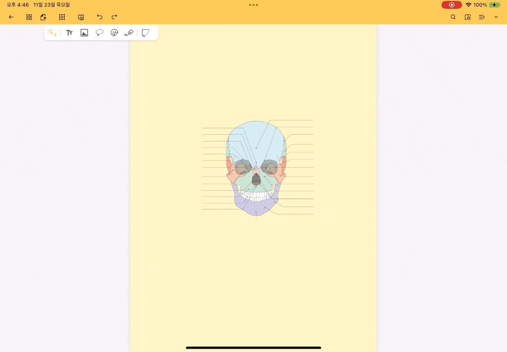 ezgif.com-optimize (55).gif
